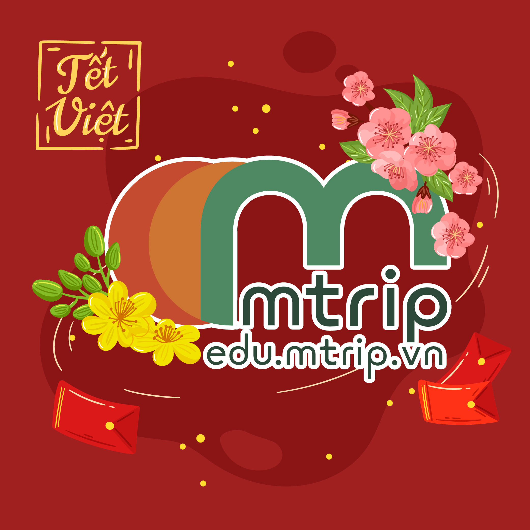 Mtrip Edu